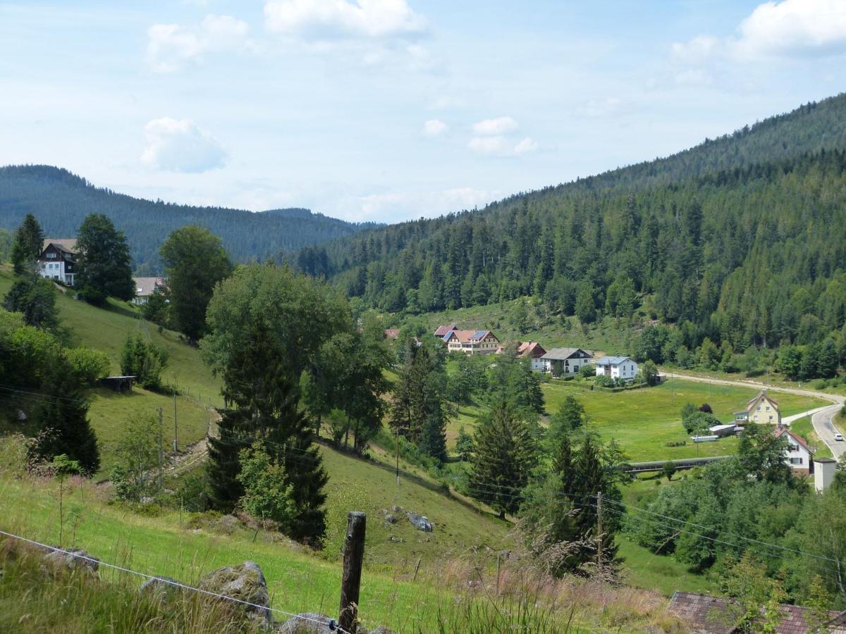 Ferienwohnung Haus Wiesengrund 福尔巴克 外观 照片